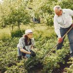 Tips Memadukan BMI Calculator dengan Pola Hidup Aktif