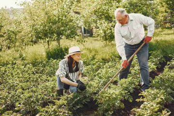 Tips Memadukan BMI Calculator dengan Pola Hidup Aktif