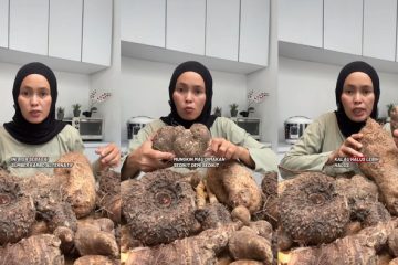 Kimpul, Jadi Saksi Diversifikasi Pangan Indonesia yang Melimpah