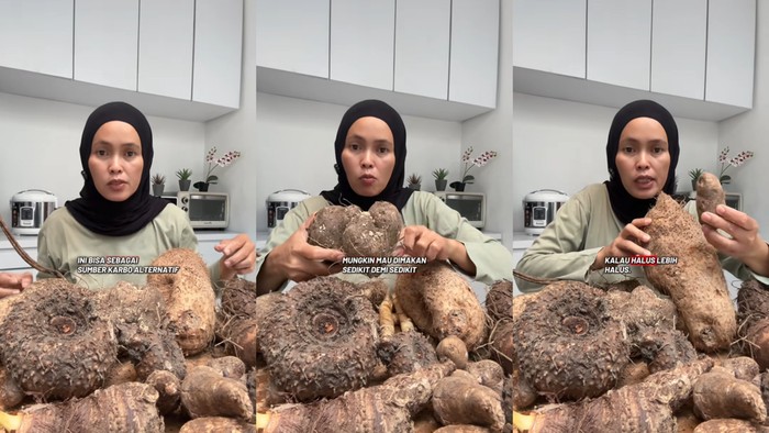 Kimpul, Jadi Saksi Diversifikasi Pangan Indonesia yang Melimpah