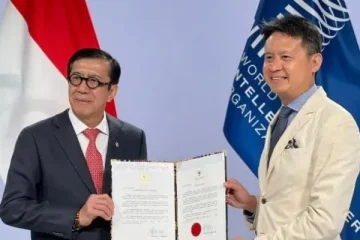 The Function of the WIPO Indonesia Trademark Database